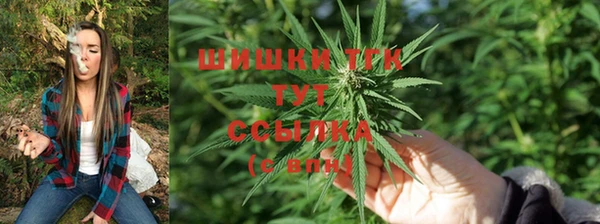 герыч Инта