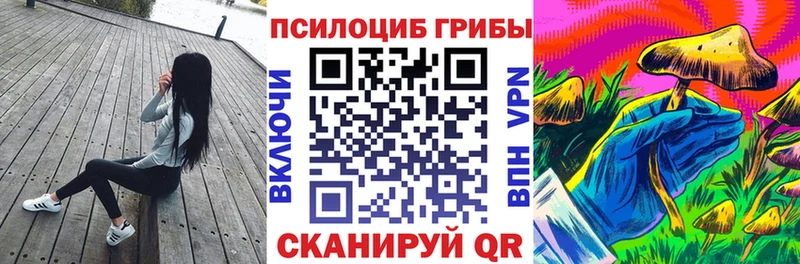 где найти   МЕГА зеркало  Псилоцибиновые грибы ЛСД  Кашира 
